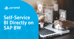 Self-Service BI Directly on SAP BW